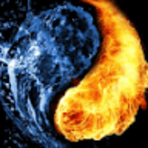 Meet your Posher, Rhiley